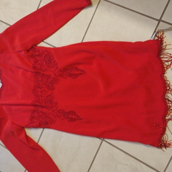 NWT beaded Ruby Red Niteline Della Roufogali dress - Picture 8 of 14